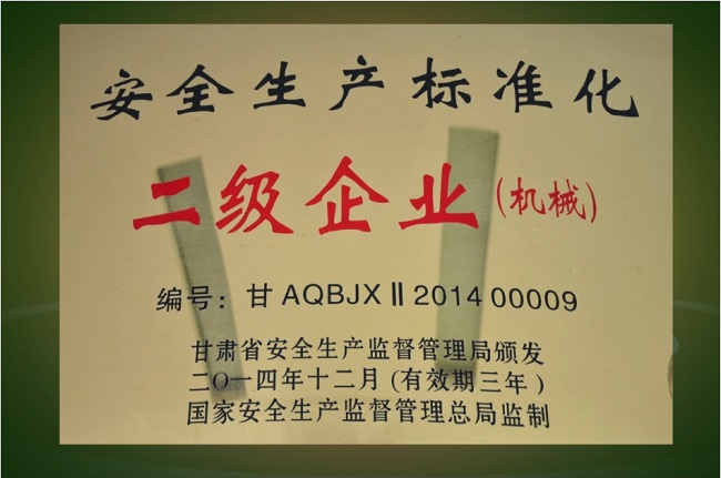 安全生产标准化二级企业.jpg